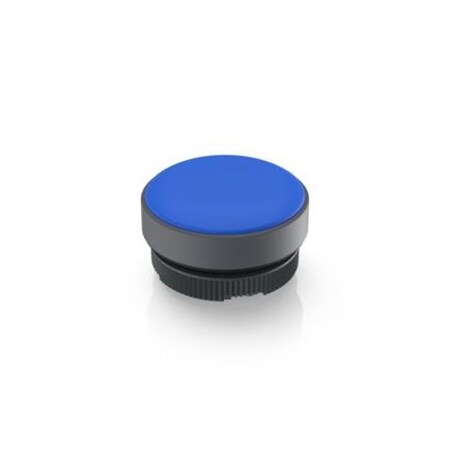 Rafi Industrial Panel Mount Indicators / Switch Indicators Rafix 22 Fs Plus Signal Indicator Blu 1.74.508.001/2600